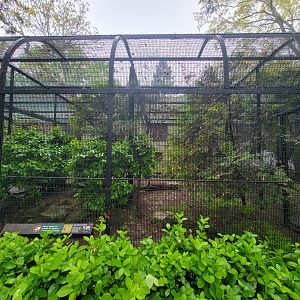 Bronx - Pheasantry, Red-legged seriema exhibit