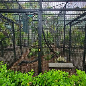 Bronx - Pheasantry, empty exhibit