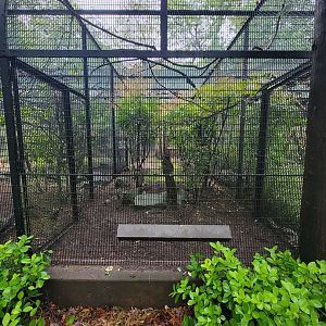 Bronx - Pheasantry, another empty exhibit