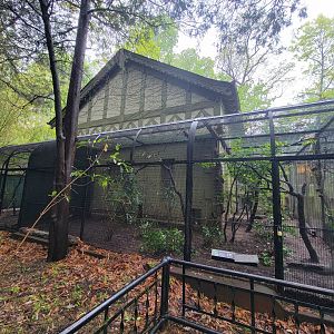 Bronx - Pheasantry, Azure-winged magpie (there's a magpie at each end!)