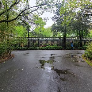 Bronx - Pheasantry from path to Congo