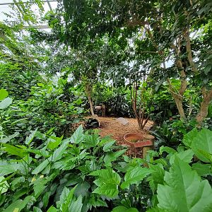 Bronx - Butterfly House