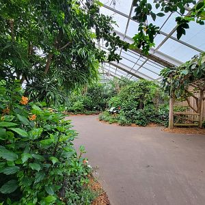 Bronx - Butterfly House