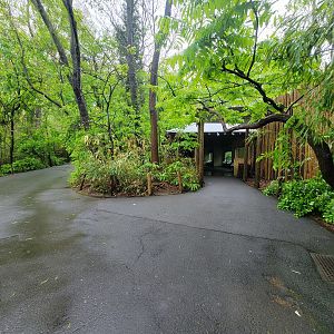 Bronx - Congo, "Forest Edge View" (not part of the extra fee area)