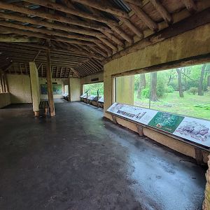 Bronx - Congo, "Forest Edge View" (not part of the extra fee area)