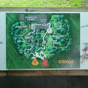 Bronx - Congo, map