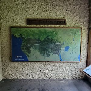 Bronx - Congo, WCS Field Sites in central Africa map, in "Forest Edge View"