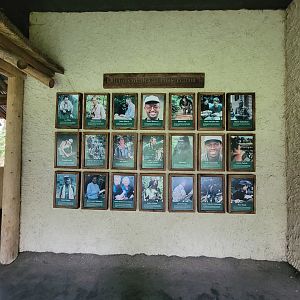 Bronx - Congo, Heroes of African Conservation, in "Forest Edge View"