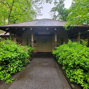 Bronx - Congo, Gift Shop