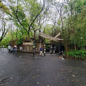 Bronx - Congo, Entrance