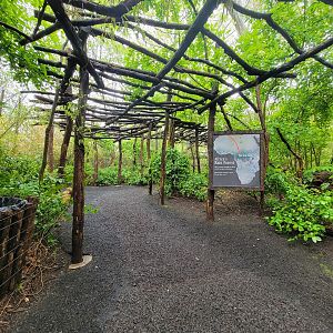 Bronx - Congo, Inside entrance