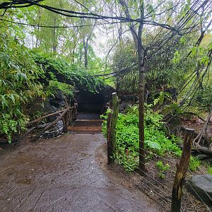 Bronx - Congo, pathway