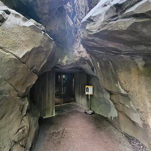 Bronx - Congo, entrance to building