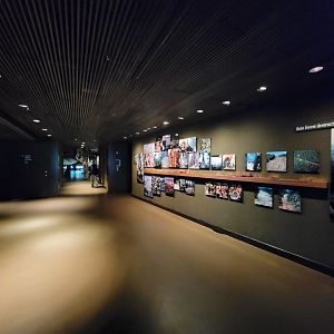 Bronx - Congo, hallway