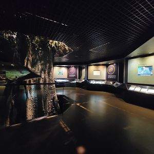 Bronx - Congo, Conservation Showcase rotunda