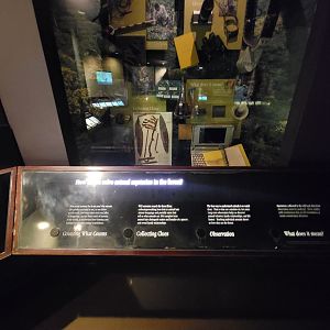 Bronx - Congo, Conservation Showcase rotunda