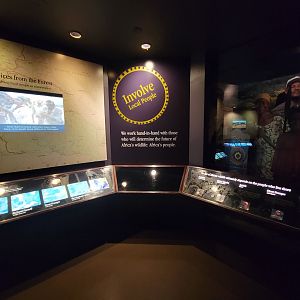 Bronx - Congo, Conservation Showcase rotunda