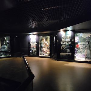 Bronx - Congo, Conservation Showcase rotunda