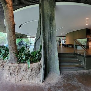 Bronx - Congo, Great Apes Gallery rotunda