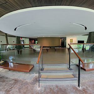 Bronx - Congo, Great Apes Gallery rotunda