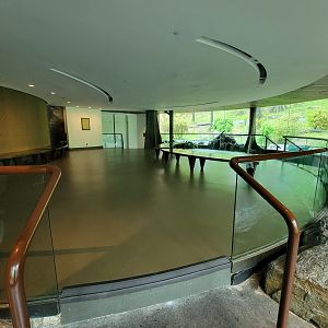 Bronx - Congo, Great Apes Gallery rotunda