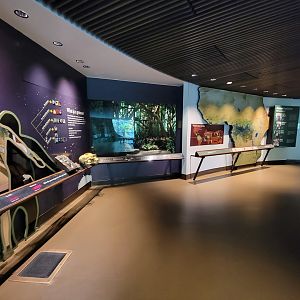 Bronx - Congo, Pygmy marmosets behind the Great Apes Gallery rotunda