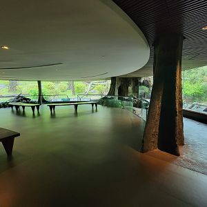 Bronx - Congo, Great Apes Gallery rotunda