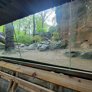 Bronx - Congo, Gorilla Encounter walkway