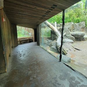 Bronx - Congo, Gorilla Encounter walkway