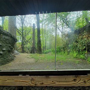 Bronx - Congo, Gorilla Encounter walkway