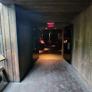 Bronx - Congo, Conservation Choices Pavilion rotunda