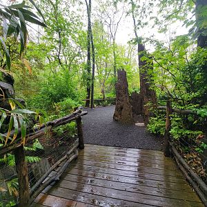 Bronx - Congo, path to exit