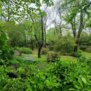 Bronx - Congo, path to exit