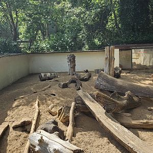 Meerkat and porcupine exhibit