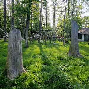 Patas monkey exhibit