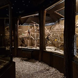 Nocturnal Pavilion indoor