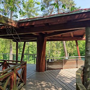 American Black Bear viewing platform