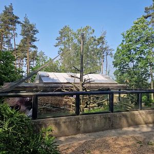 South American Pavilion