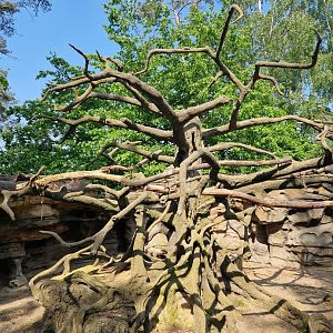 South American Pavilion