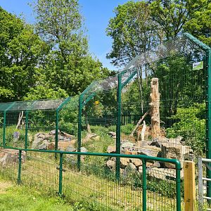 Lynx Enclosure, Beale