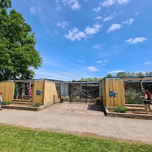 Tayra Complex, Beale