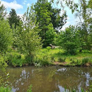 Rhea Enclosure, Beale