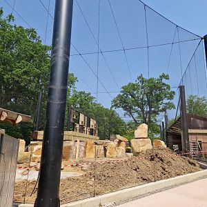 New African Vultures Aviary soon