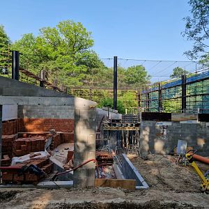 New Asian birds Aviary under construction