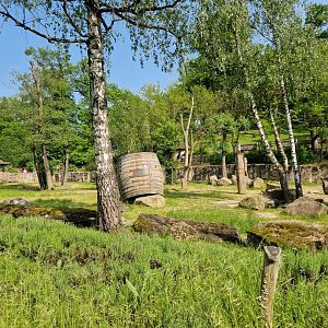 New Malayan Tapir exhibit