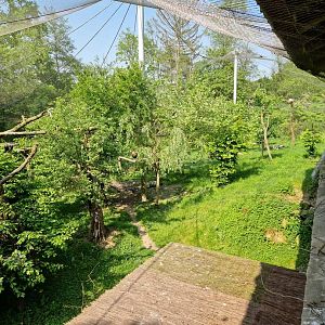African Birds open view Aviary