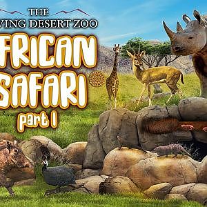 African Safari: Part I | Zoo Tours