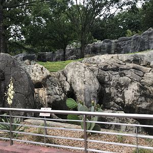 Renovated Baboon Habitat View