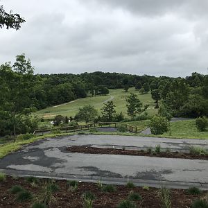 View of Plains from top of Baboon viewing