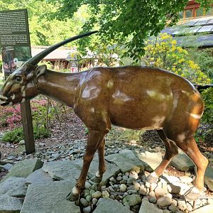 Saola statue